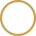 Dry cleaning service icon